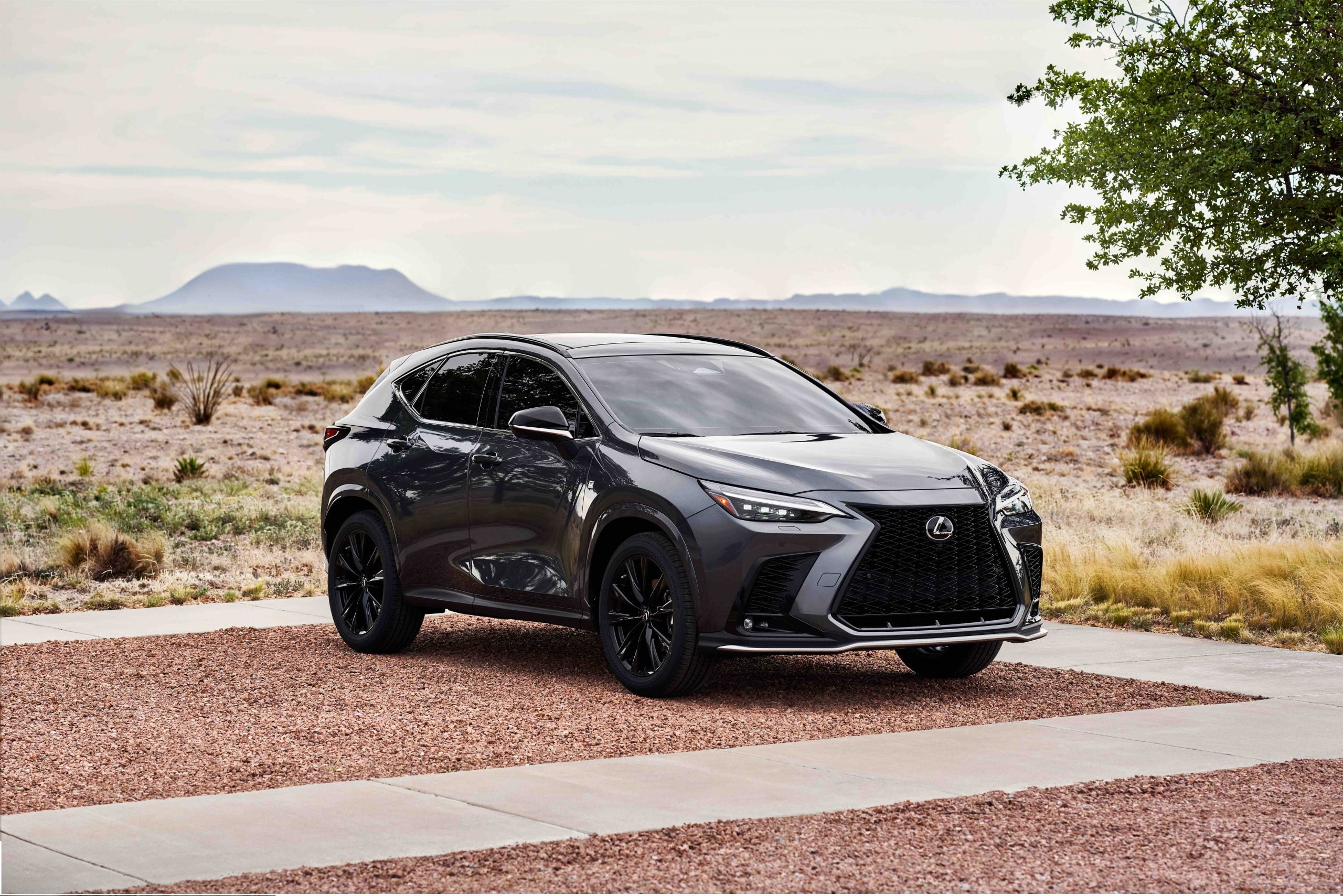2024_Lexus_NX_350_FSPORT_0254-scaled-1 (1)
